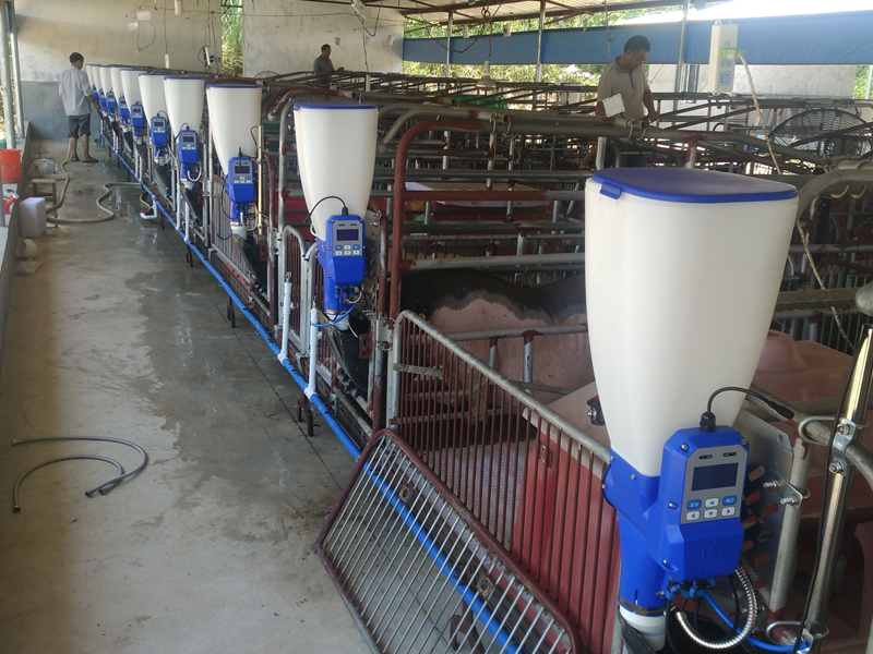 哺乳母豬智能飼喂器 HS100 哺乳母豬智能飼喂器 HS100