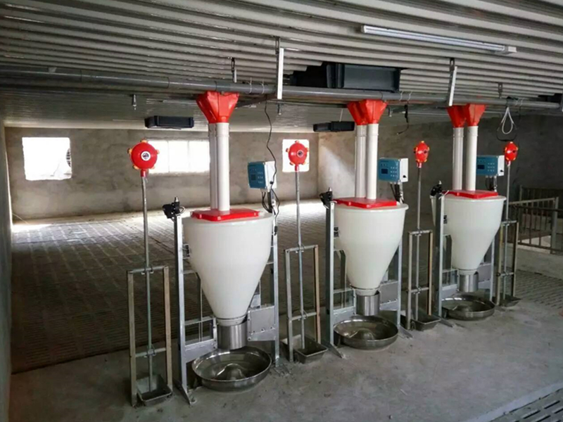 育肥豬智能飼喂器 HF100 育肥豬智能飼喂器 HF100
