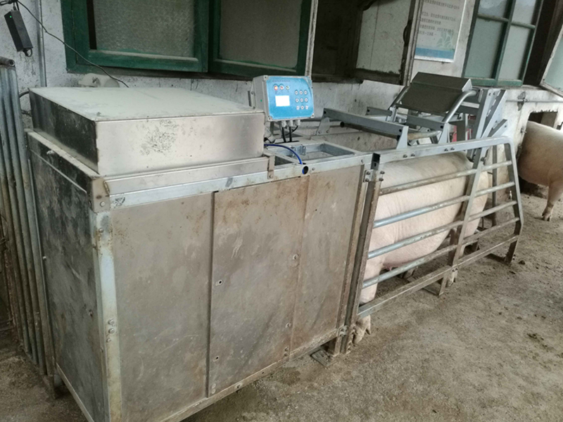小型母豬電子飼喂站 HG100 小型母豬電子飼喂站 HG100